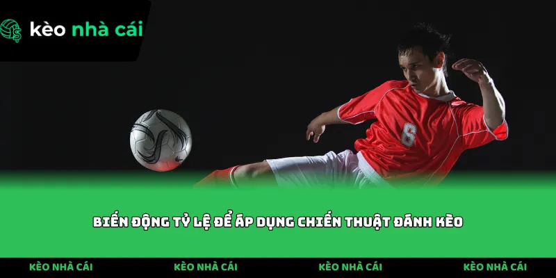 Biến động tỷ lệ để áp dụng chiến thuật đánh kèo