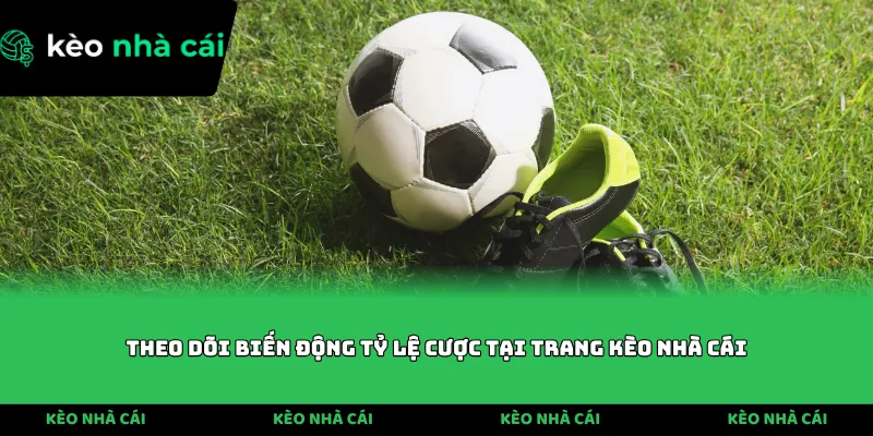 Theo dõi biến động tỷ lệ cược tại trang Kèo Nhà Cái